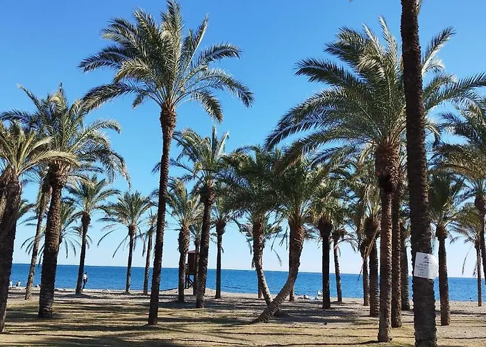San Antonio - Beach, Pool And Terrace Torremolinos