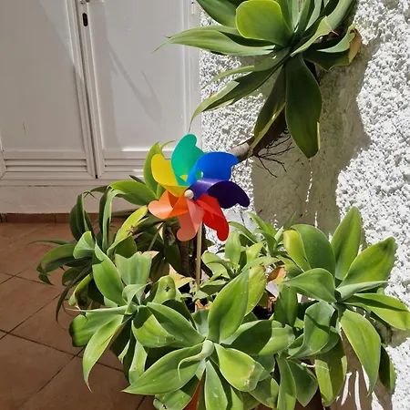 San Antonio - Beach, Pool And Terrace *