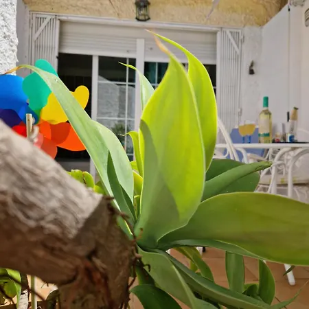 아파트 San Antonio - Beach, Pool And Terrace *