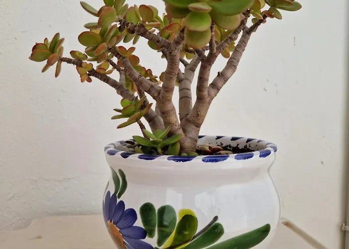 San Antonio - Beach, Pool And Terrace * Torremolinos