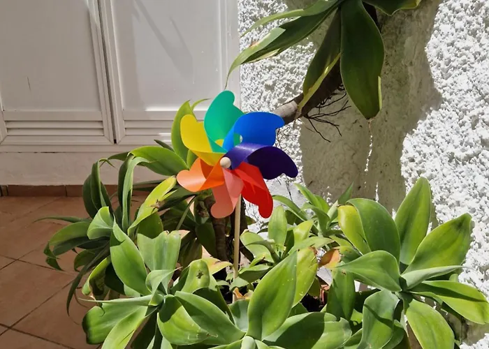 San Antonio - Beach, Pool And Terrace *