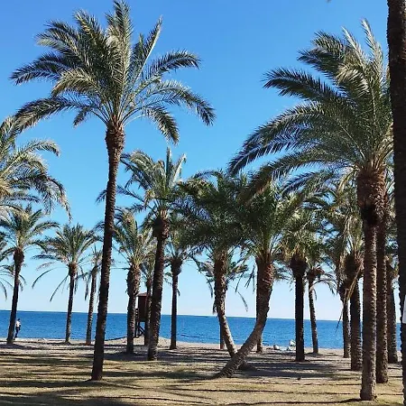 San Antonio - Beach, Pool And Terrace توريمولينوس
